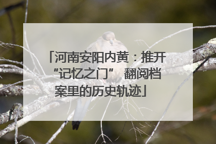 河南安阳内黄：推开“记忆之门” 翻阅档案里的历史轨迹