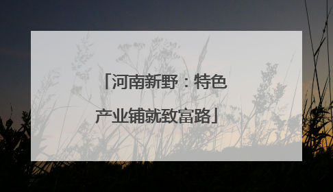 河南新野：特色产业铺就致富路