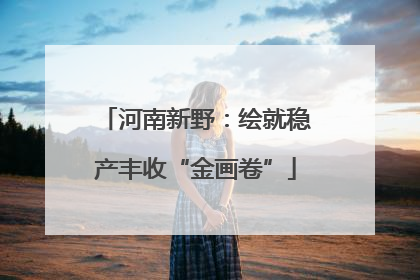 河南新野：绘就稳产丰收“金画卷”