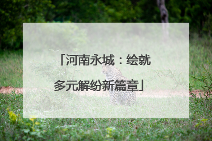 河南永城：绘就多元解纷新篇章