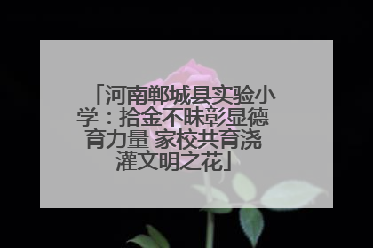 河南郸城县实验小学：拾金不昧彰显德育力量 家校共育浇灌文明之花