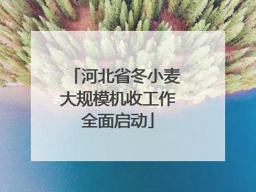 河北省冬小麦大规模机收工作全面启动