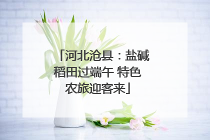 河北沧县：盐碱稻田过端午 特色农旅迎客来