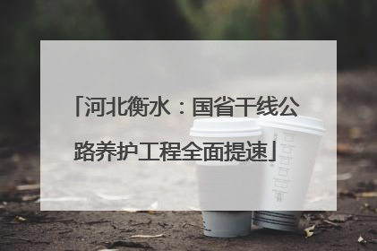 河北衡水：国省干线公路养护工程全面提速