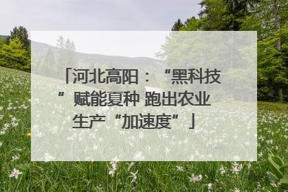 河北高阳：“黑科技”赋能夏种 跑出农业生产“加速度”