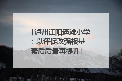 泸州江阳通滩小学：以评促改强根基 素质质量再提升