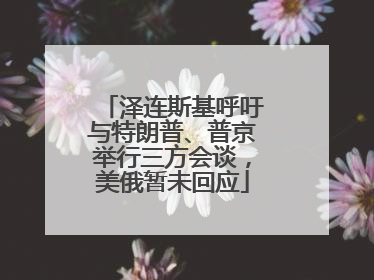 泽连斯基呼吁与特朗普、普京举行三方会谈，美俄暂未回应