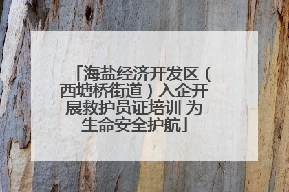 海盐经济开发区（西塘桥街道）入企开展救护员证培训 为生命安全护航