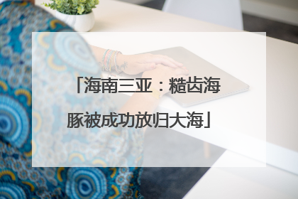 海南三亚：糙齿海豚被成功放归大海
