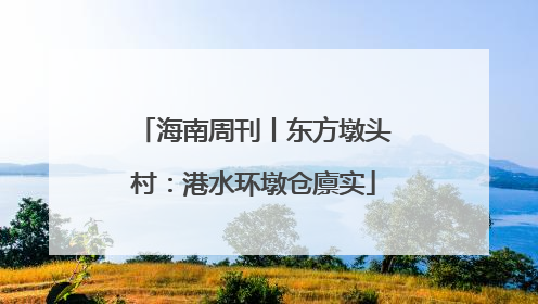 海南周刊丨东方墩头村：港水环墩仓廪实
