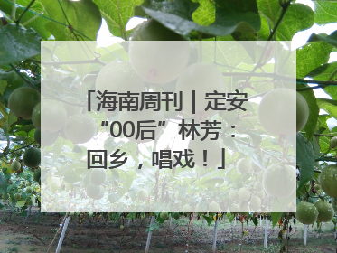 海南周刊｜定安“00后”林芳：回乡，唱戏！