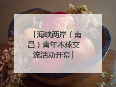 海峡两岸（南昌）青年木球交流活动开幕