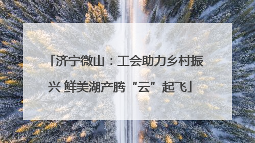 济宁微山：工会助力乡村振兴 鲜美湖产腾“云”起飞
