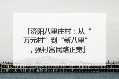 济阳八里庄村：从“万元村”到“新八里”，强村富民路正宽