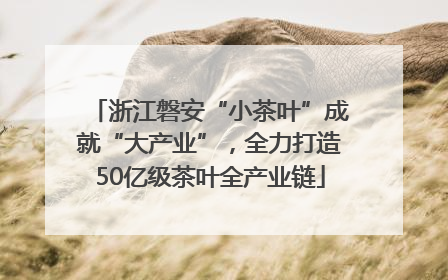 浙江磐安“小茶叶”成就“大产业”，全力打造50亿级茶叶全产业链