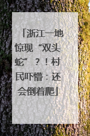 浙江一地惊现“双头蛇”？！村民吓懵：还会倒着爬