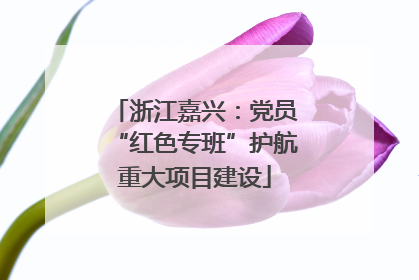 浙江嘉兴：党员“红色专班”护航重大项目建设