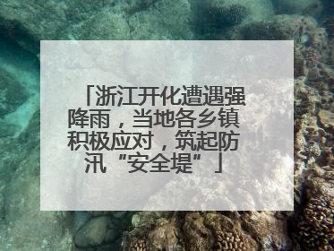 浙江开化遭遇强降雨，当地各乡镇积极应对，筑起防汛“安全堤”