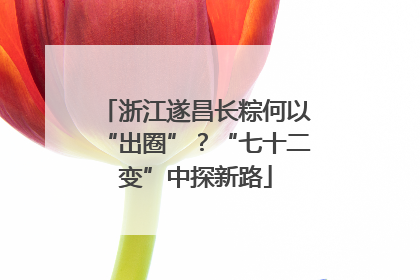 浙江遂昌长粽何以“出圈”？“七十二变”中探新路