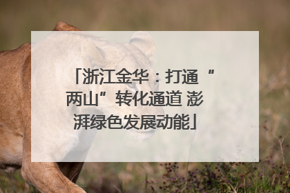 浙江金华：打通“两山”转化通道 澎湃绿色发展动能