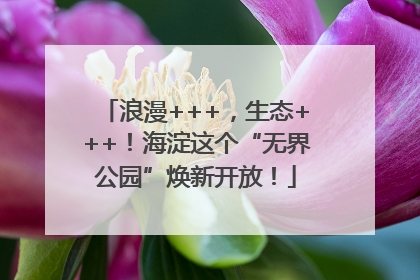浪漫+++，生态+++！海淀这个“无界公园”焕新开放！
