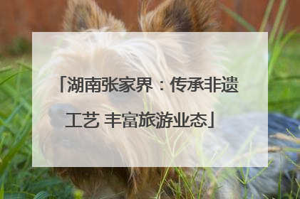 湖南张家界：传承非遗工艺 丰富旅游业态