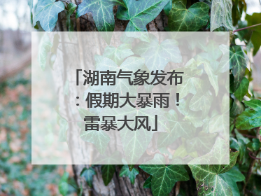 湖南气象发布：假期大暴雨！雷暴大风