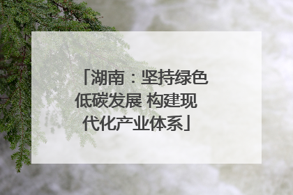 湖南：坚持绿色低碳发展 构建现代化产业体系