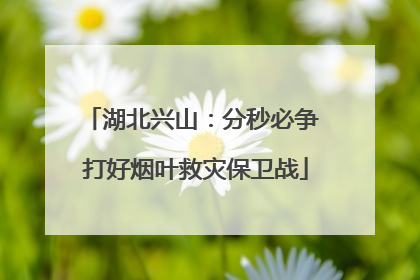 湖北兴山：分秒必争 打好烟叶救灾保卫战