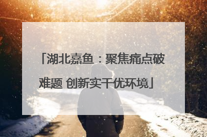 湖北嘉鱼：聚焦痛点破难题 创新实干优环境