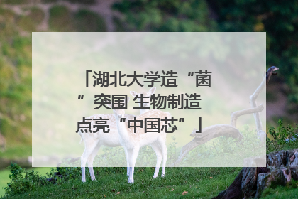 湖北大学造“菌”突围 生物制造点亮“中国芯”