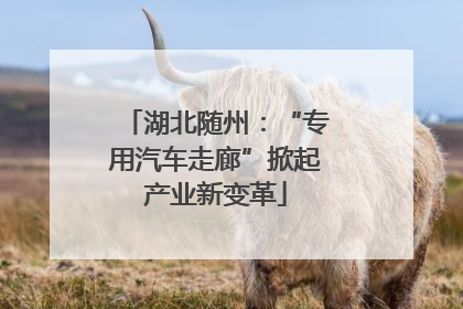 湖北随州：“专用汽车走廊”掀起产业新变革