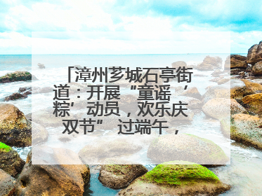 漳州芗城石亭街道：开展“童谣‘粽’动员，欢乐庆双节” 过端午，庆六一活动