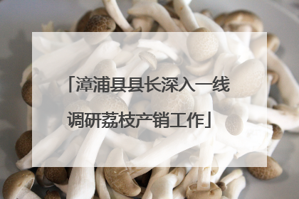 漳浦县县长深入一线调研荔枝产销工作