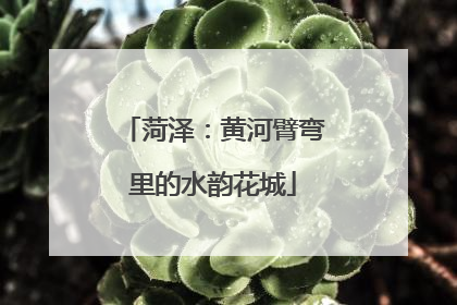 菏泽：黄河臂弯里的水韵花城