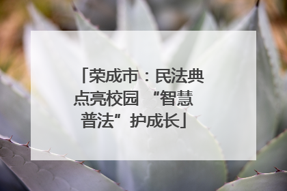 荣成市：民法典点亮校园 “智慧普法”护成长