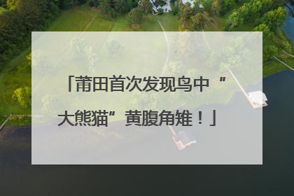 莆田首次发现鸟中“大熊猫”黄腹角雉！