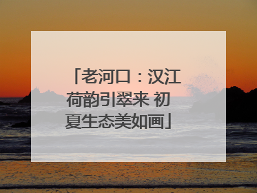 老河口：汉江荷韵引翠来 初夏生态美如画