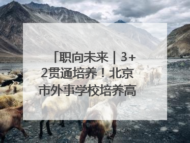 职向未来｜3+2贯通培养！北京市外事学校培养高端服务人才