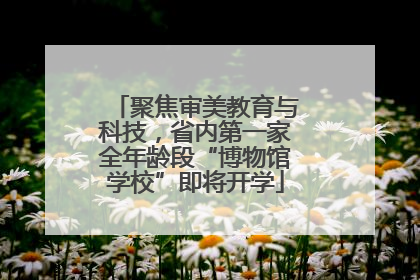 聚焦审美教育与科技，省内第一家全年龄段“博物馆学校”即将开学
