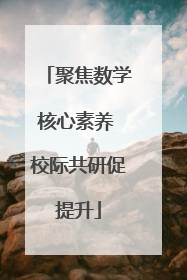 聚焦数学核心素养 校际共研促提升