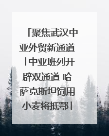 聚焦武汉中亚外贸新通道│中亚班列开辟双通道 哈萨克斯坦饲用小麦将抵鄂