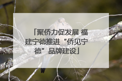 聚侨力促发展 福建宁德推进“侨见宁德”品牌建设