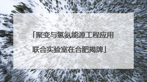 聚变与氢氨能源工程应用联合实验室在合肥揭牌