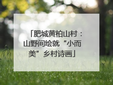 肥城黄柏山村：山野间绘就“小而美”乡村诗画