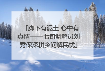 脚下有泥土 心中有真情——七旬调解员刘秀保深耕乡间解民忧