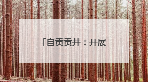 自贡贡井：开展青少年学生宪法知识演讲比赛