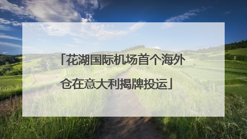 花湖国际机场首个海外仓在意大利揭牌投运