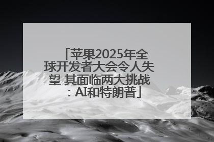 苹果2025年全球开发者大会令人失望 其面临两大挑战：AI和特朗普
