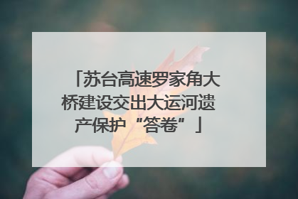 苏台高速罗家角大桥建设交出大运河遗产保护“答卷”